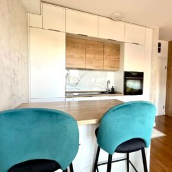 🔶️ I Z D A V A Nj E 🔶️Izdaje se jednosoban stan na Zabjelu, na par minuta od Multikoma.Stan s (2)