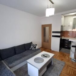 🔶️ I Z D A V A Nj E 🔶️Izdaje se jednosoban stan na Zabjelu ul. Milana Mladenovića u blizini r (3)