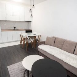 🔶️ I Z D A V A Nj E 🔶️Izdaje se se jednosoban stan na Zabjelu ul. Iva Vizina.Stan se nalazi n (2)